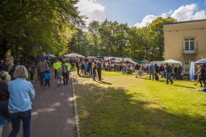 m bbn2015 mik andersen067