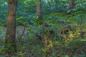 m silkeborg bbn mik andersen047