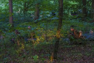 m silkeborg bbn mik andersen048