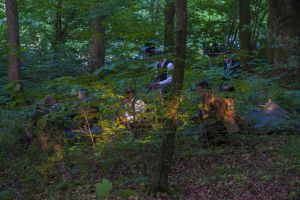 m silkeborg bbn mik andersen051