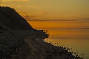 m 2018 02 mik andersen252