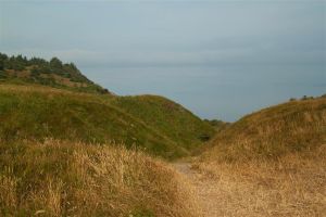 2013 07 22 mikandersen