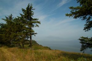 2013 07 22 mikandersen