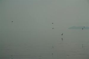 2013 07 22 mikandersen