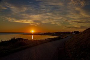 m 2020 08 mik andersen082