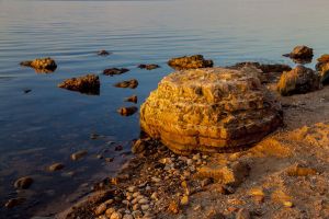 m 2020 08 mik andersen104