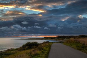 m 2020 08 mik andersen179